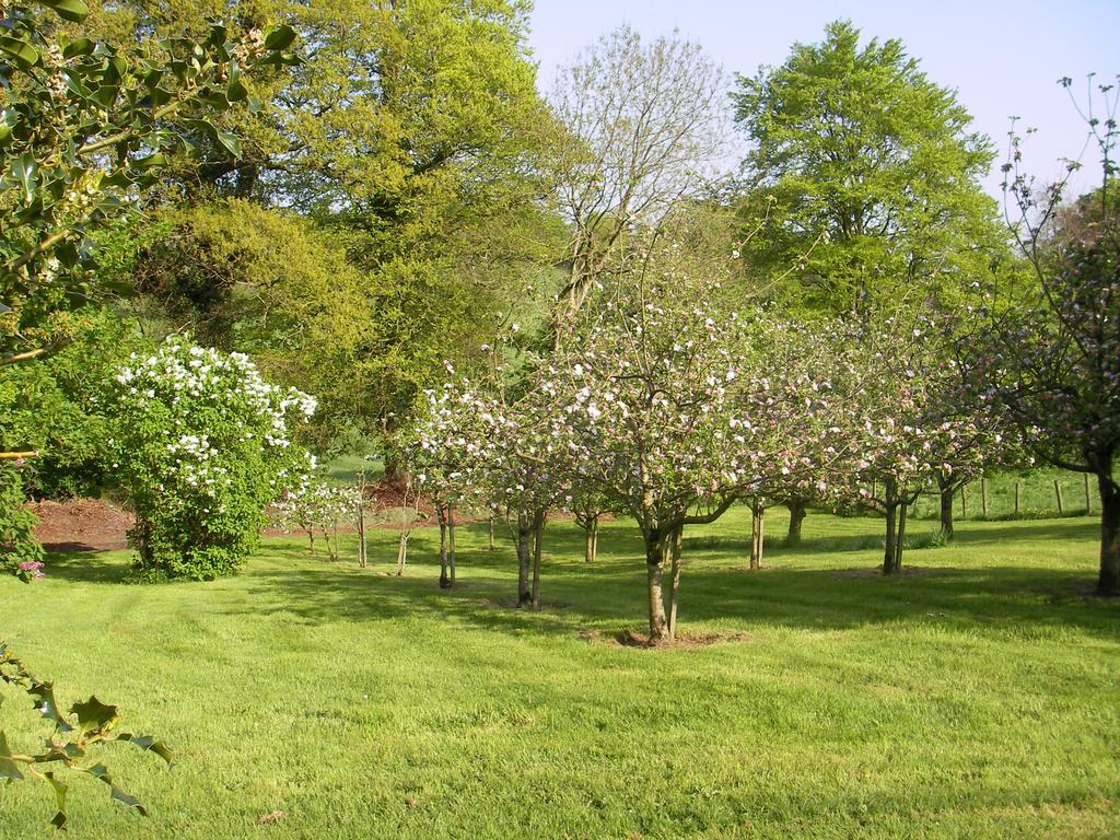 Grange Lodge Country House ดังกานนอน ภายนอก รูปภาพ